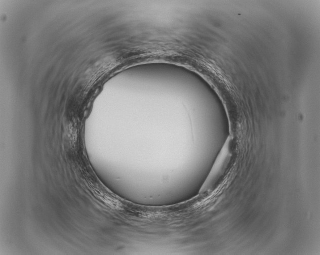 X0000087021257200704301305