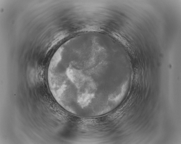 X0000087021258200704301305