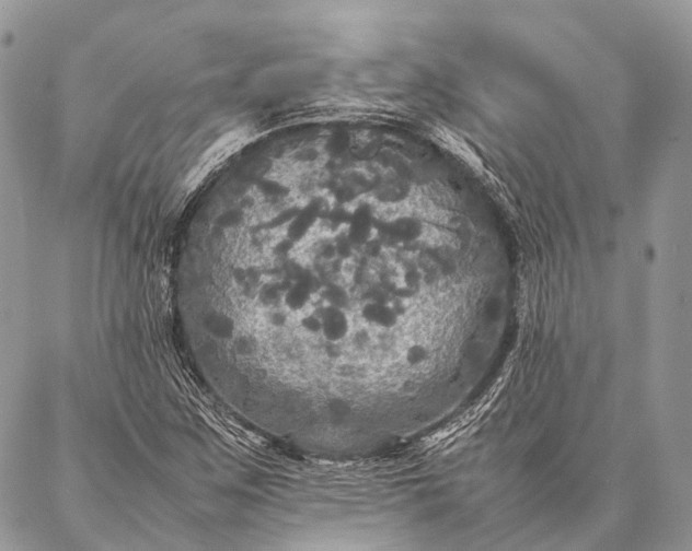 X0000087021259200704301305