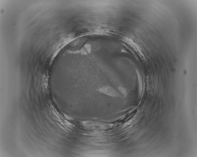 X0000087021260200704301305