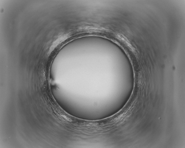 X0000087021261200704301305