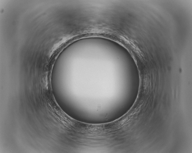 X0000087021262200704301305