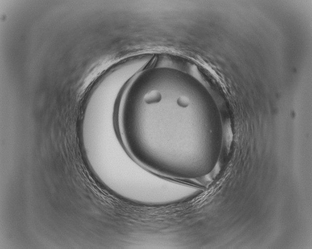 X0000087021263200704301305