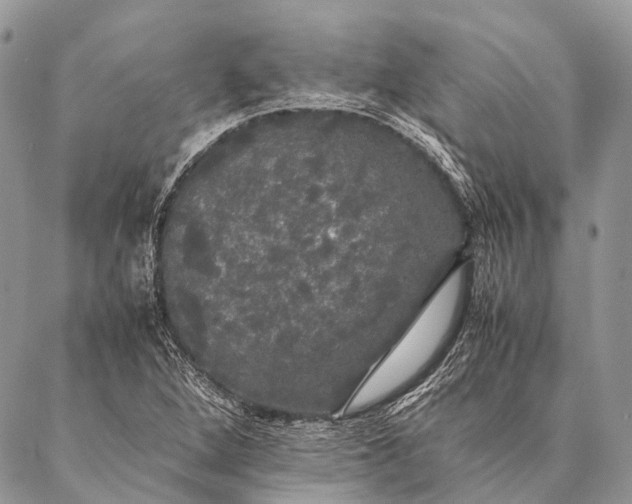 X0000087021264200704301305