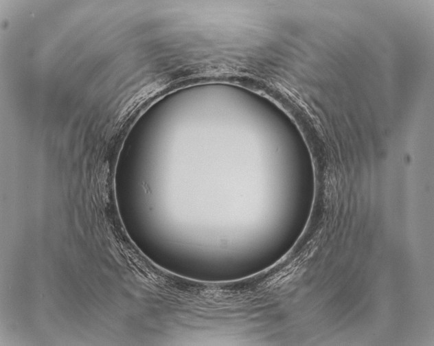 X0000087021265200704301305