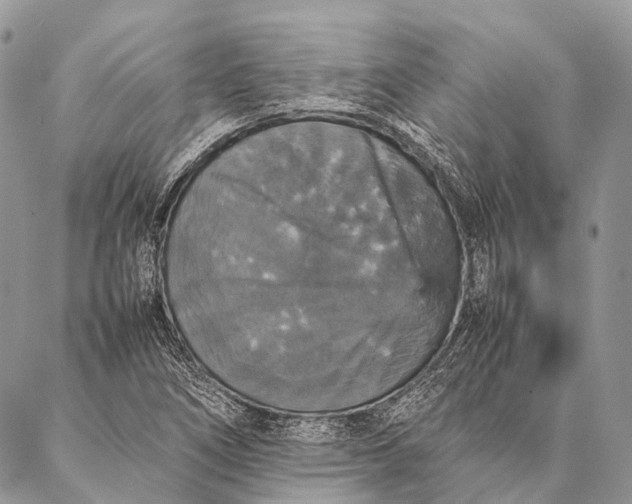 X0000087021266200704301305