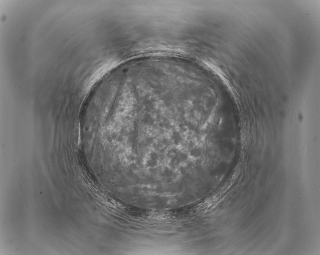 X0000087021267200704301305