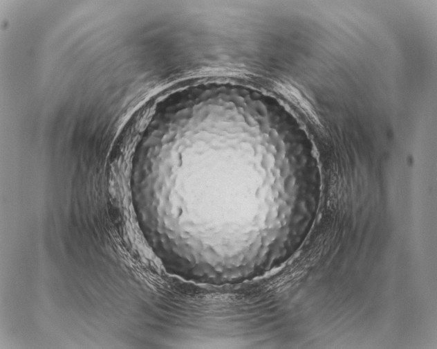 X0000087021268200704301305