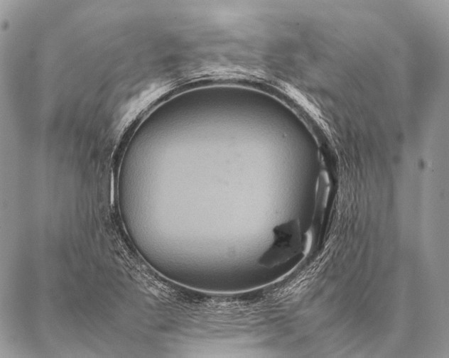 X0000087021269200704301305