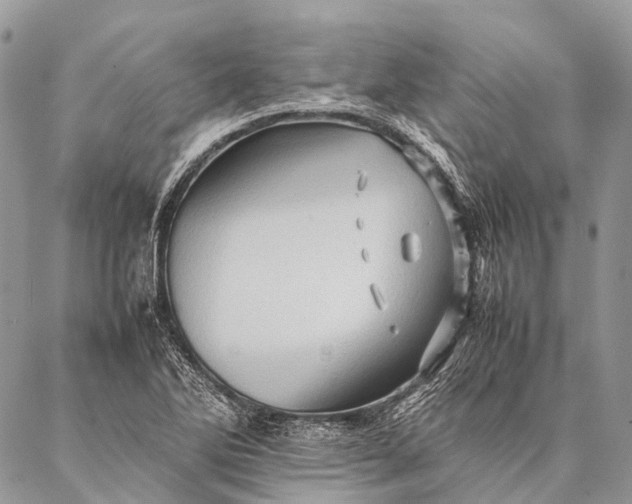 X0000087021270200704301305