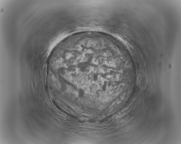 X0000087021271200704301305