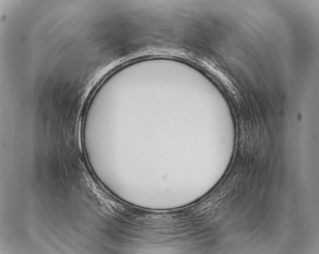 X0000087021272200704301305