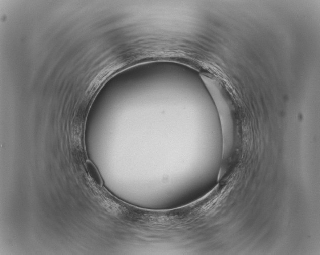 X0000087021273200704301305