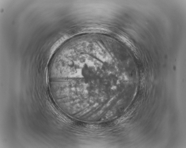 X0000087021275200704301305