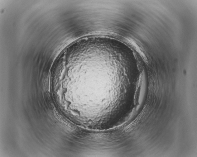 X0000087021276200704301305