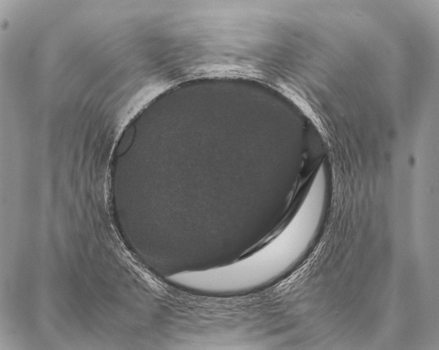 X0000087021277200704301305