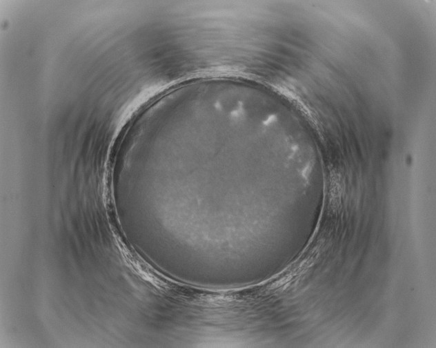 X0000087021278200704301305