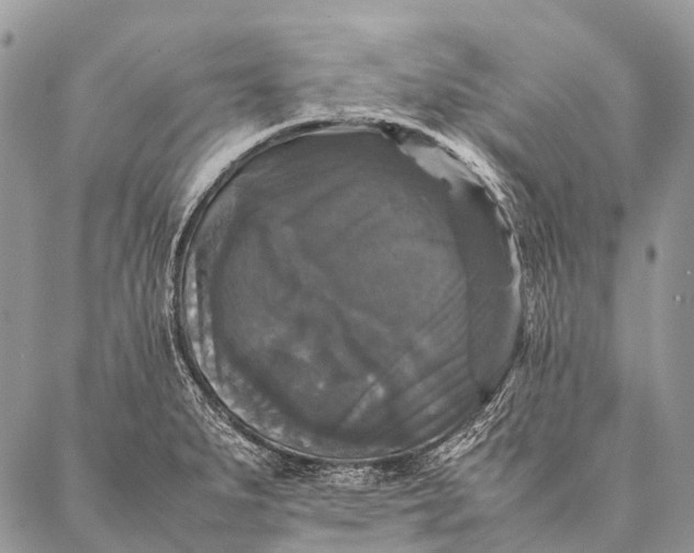 X0000087021279200704301305