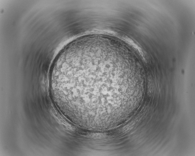 X0000087021280200704301305