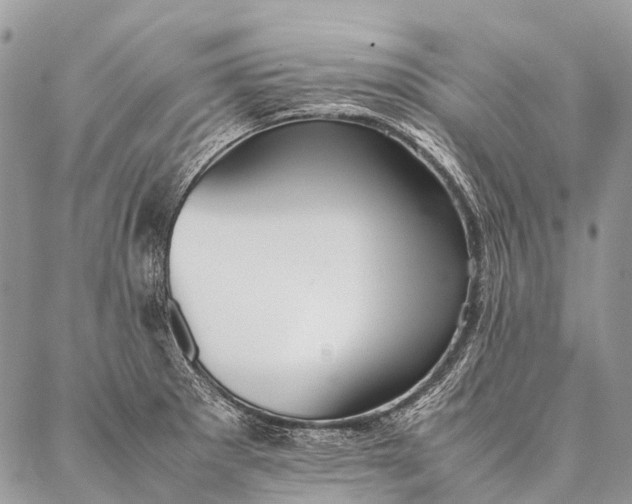 X0000087021281200704301305