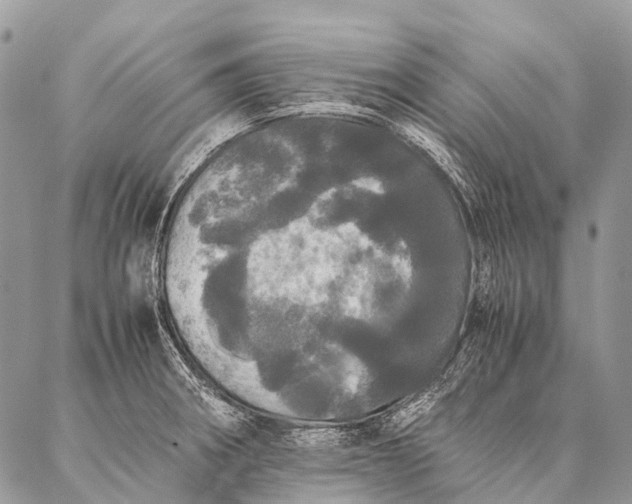 X0000087021282200704301305