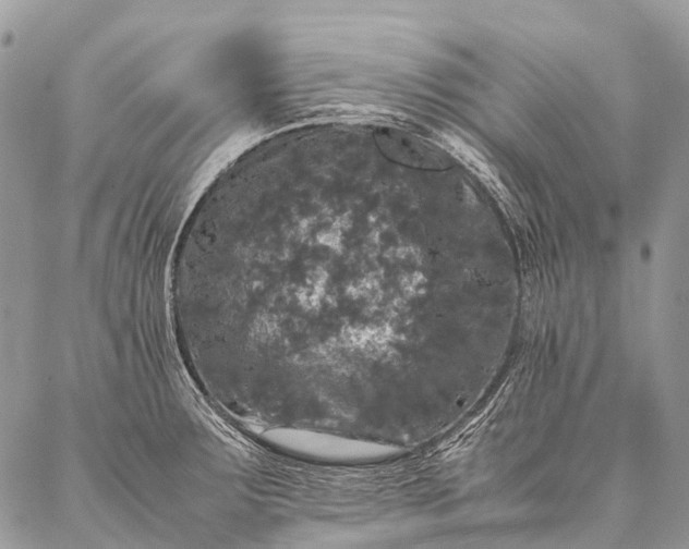 X0000087021283200704301305