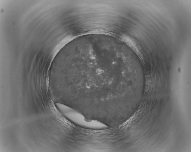 X0000087021284200704301305