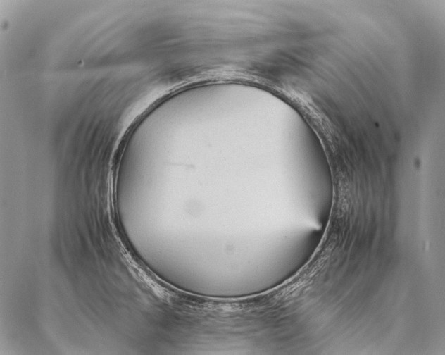 X0000087021286200704301305