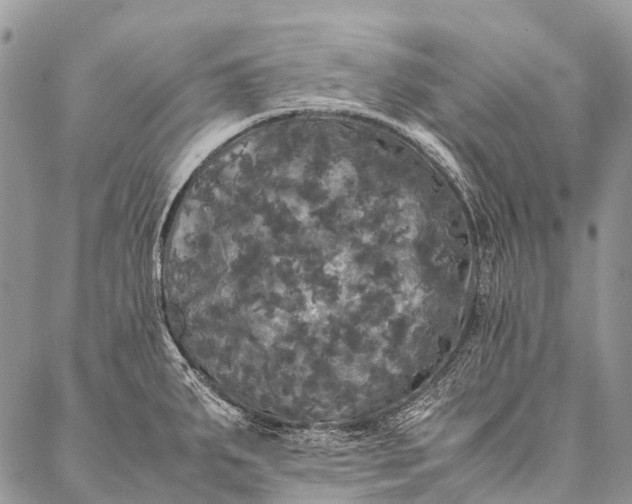 X0000087021287200704301305