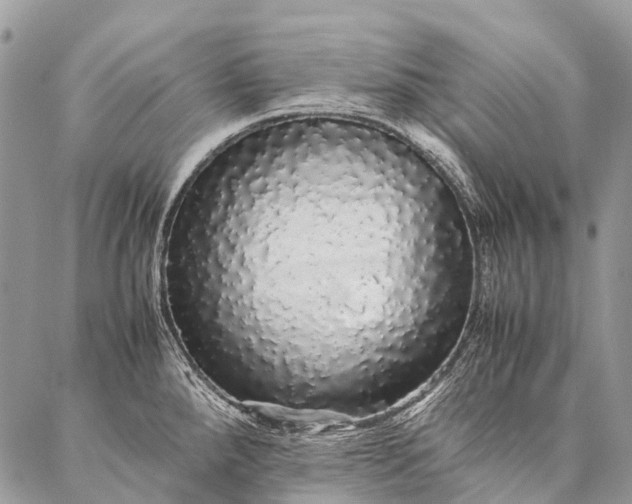 X0000087021288200704301305