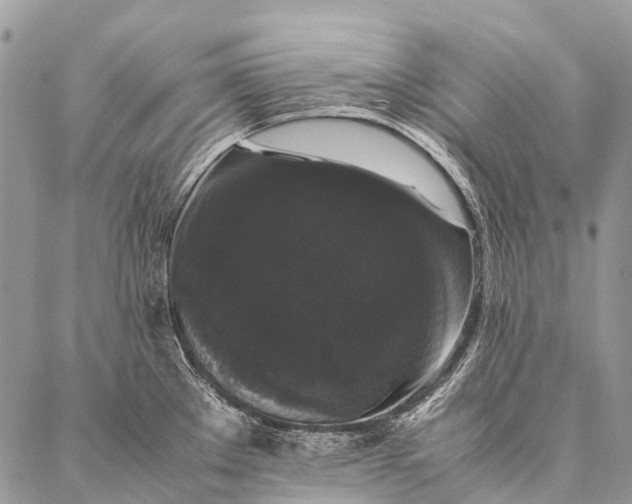 X0000087021289200704301305