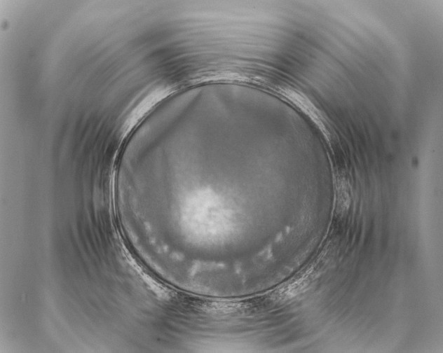 X0000087021290200704301305