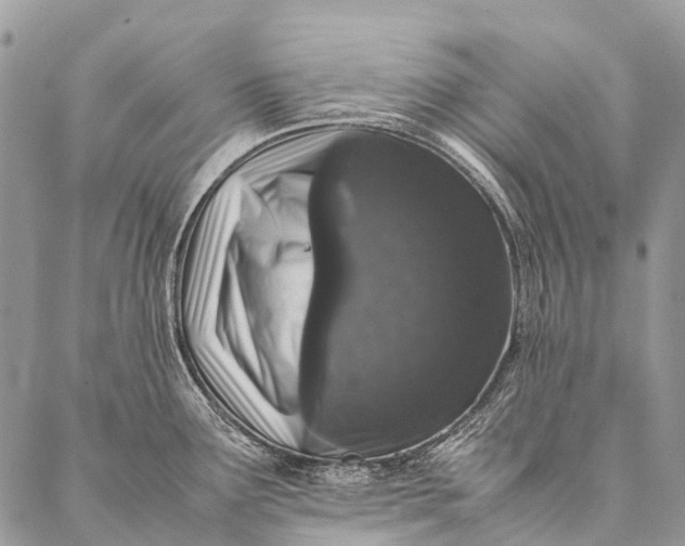 X0000087021291200704301305