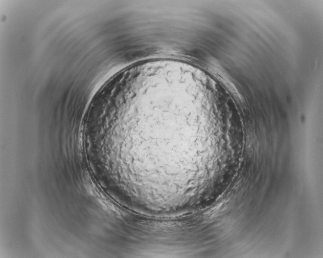 X0000087021292200704301305