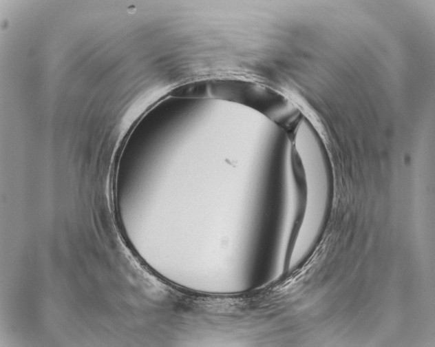 X0000087021293200704301305