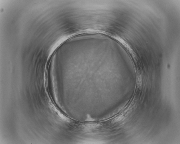 X0000087021294200704301305