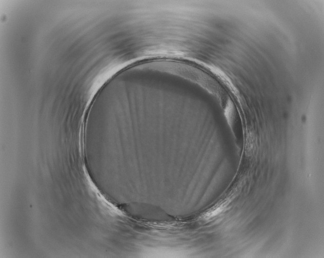 X0000087021295200704301305