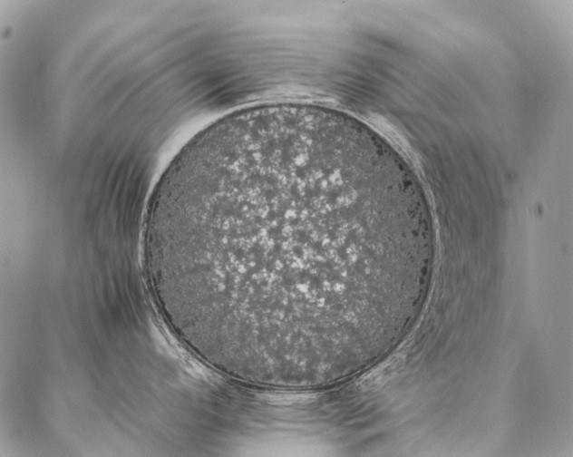 X0000087021296200704301305