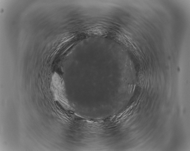 X0000087021297200704301304