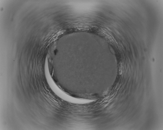 X0000087021298200704301304