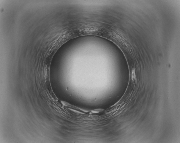 X0000087021299200704301304