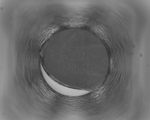 X0000087021300200704301304