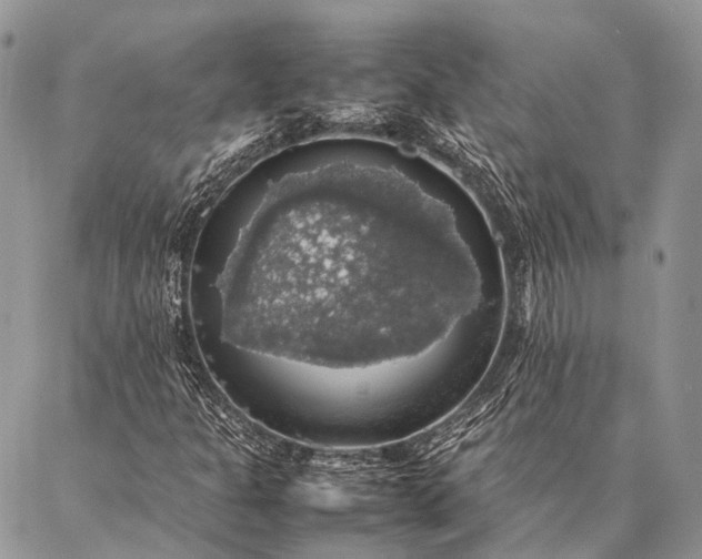 X0000087021301200704301304