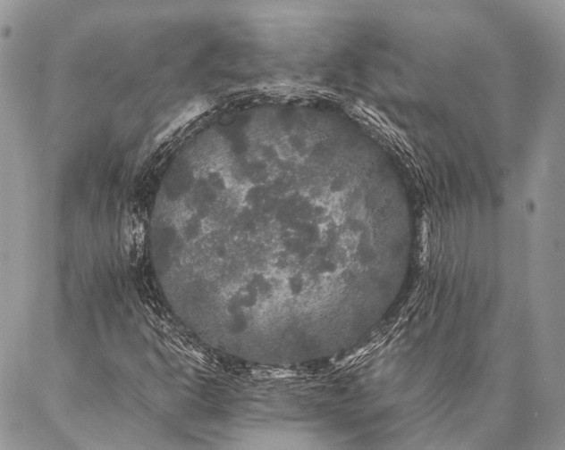 X0000087021302200704301304