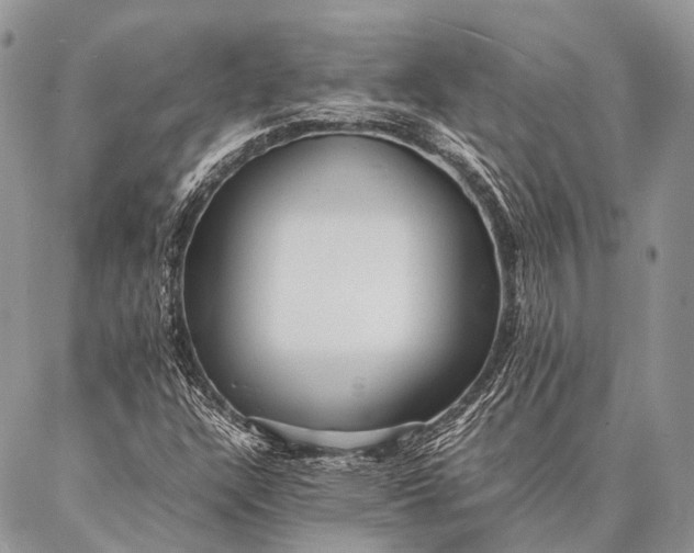 X0000087021304200704301304