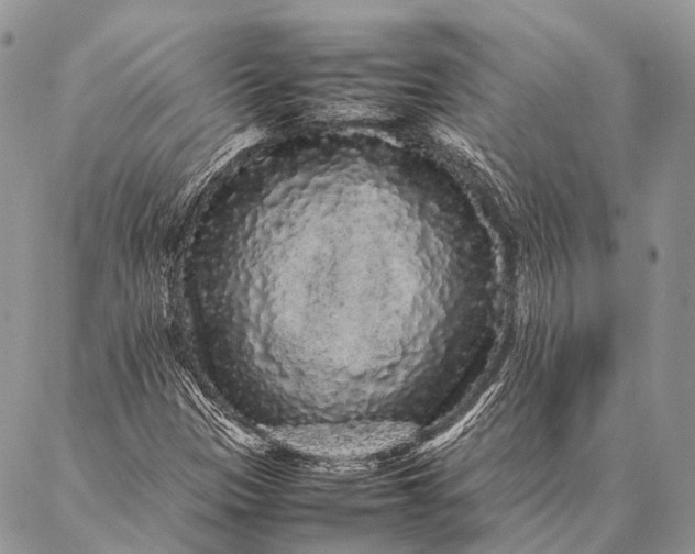 X0000087021305200704301304