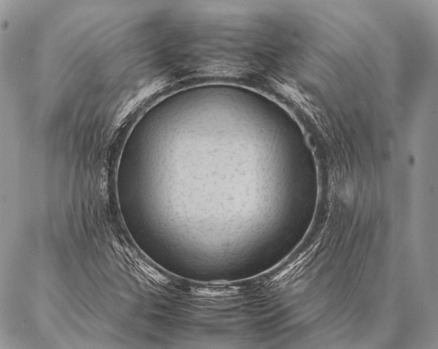 X0000087021307200704301304