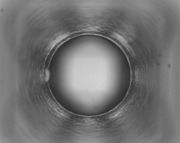 X0000087021308200704301304