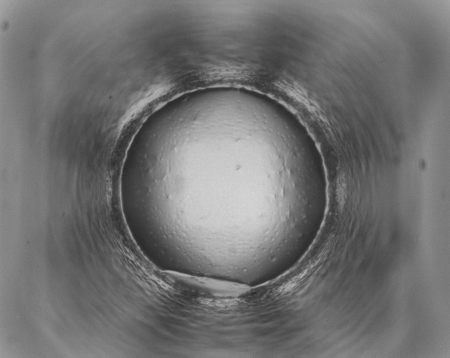 X0000087021309200704301304