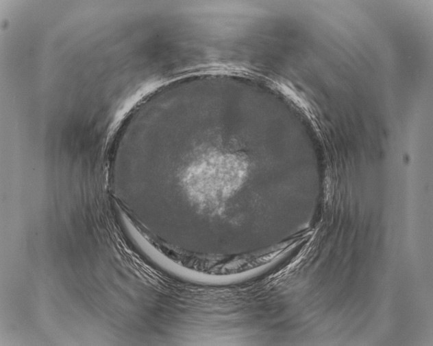 X0000087021310200704301304